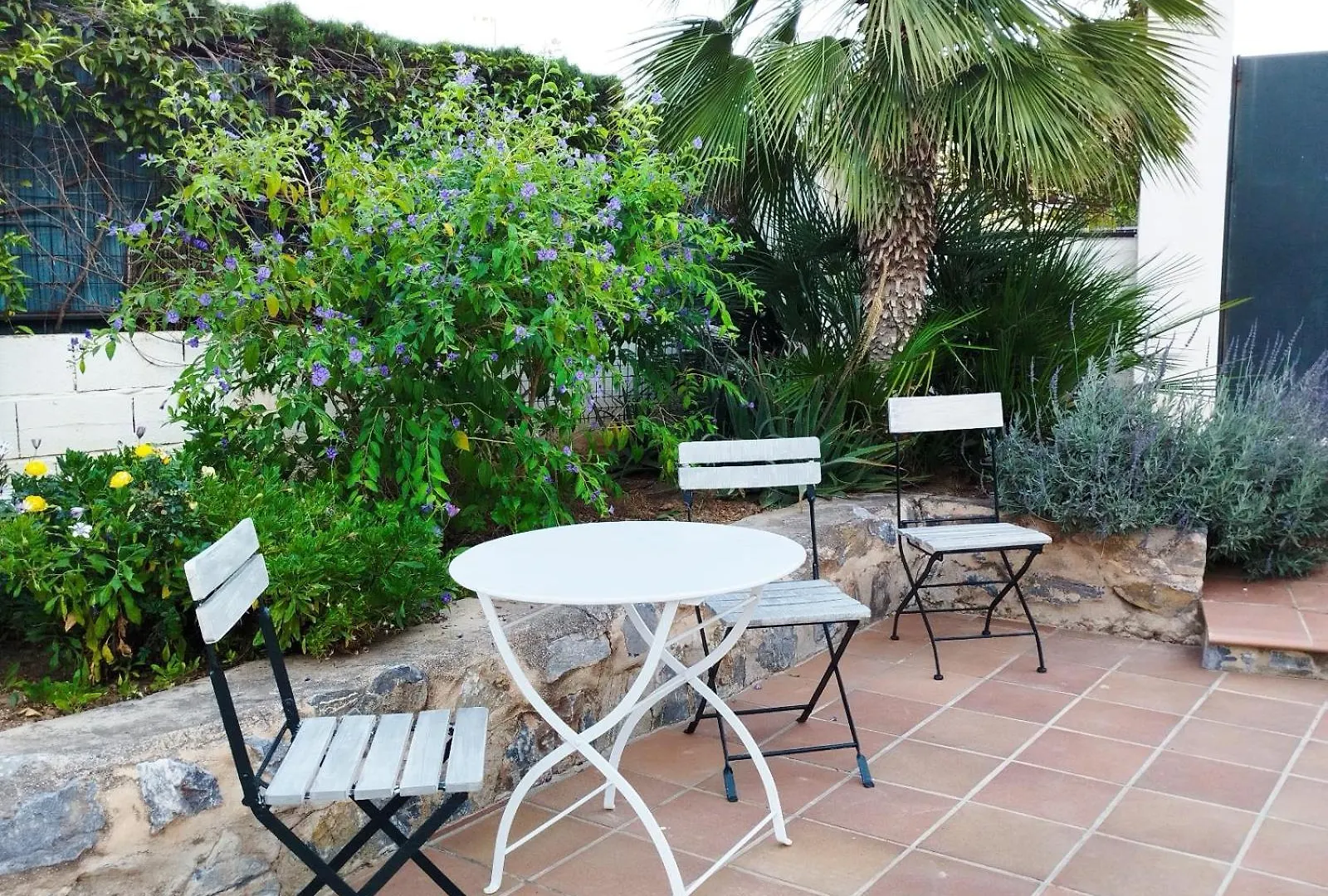 The Lemon Grove House Villa Torremolinos